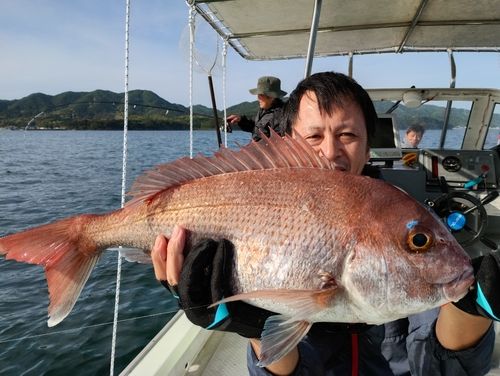 マダイの釣果