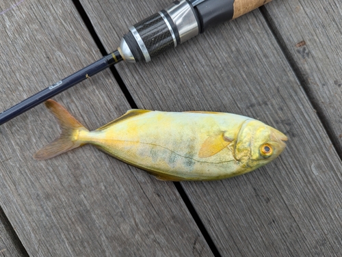 天龍 ショアジギングロッド Spike YellowTail （天龍の