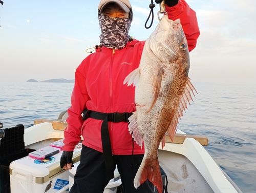 マダイの釣果