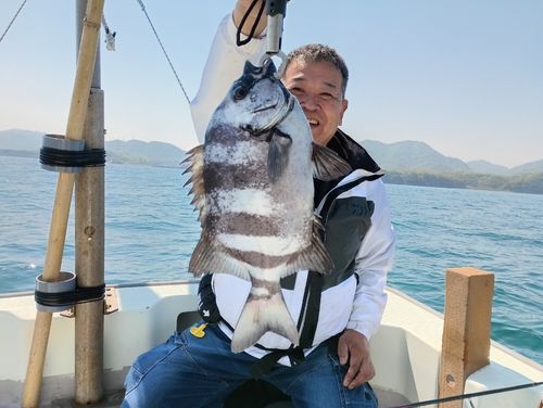 イシダイの釣果