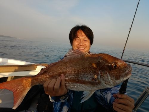 マダイの釣果