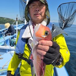 アマダイ
