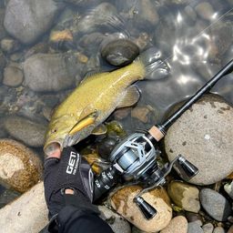 スモールマウスバス