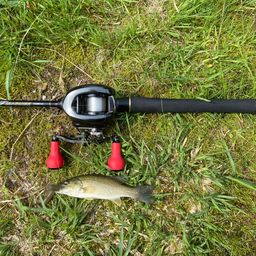 スモールマウスバス