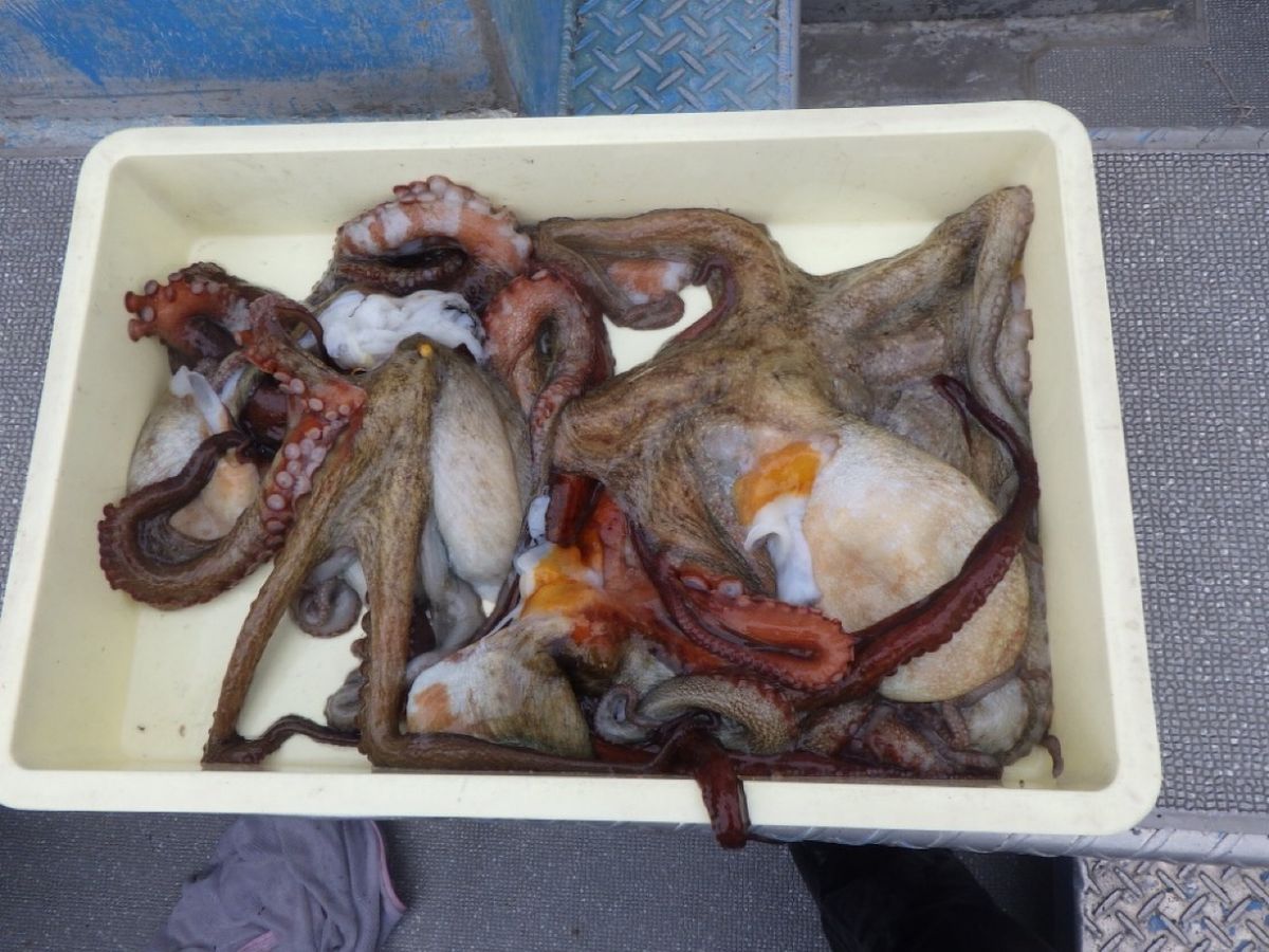 石川釣船@船長さんの釣果 3枚目の画像