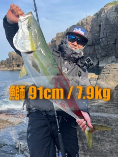 ブリの釣果