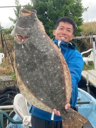ヒラメの釣果