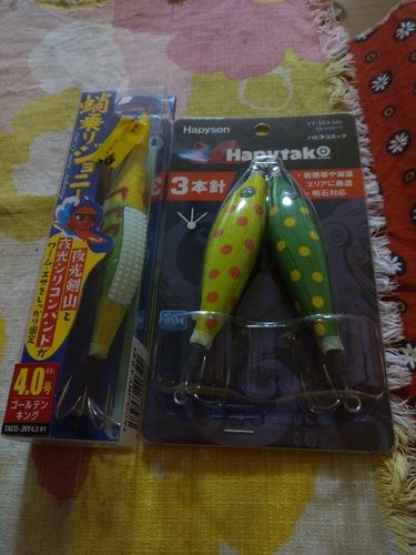 タコの釣果