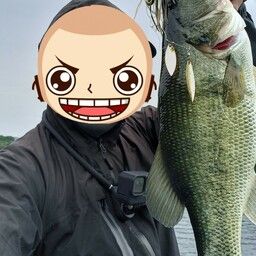 ブラックバス