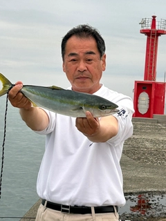ヤズの釣果