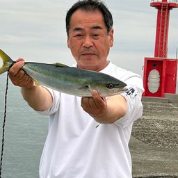 ヤズ