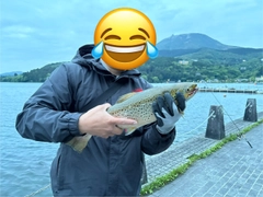 ブラウントラウトの釣果