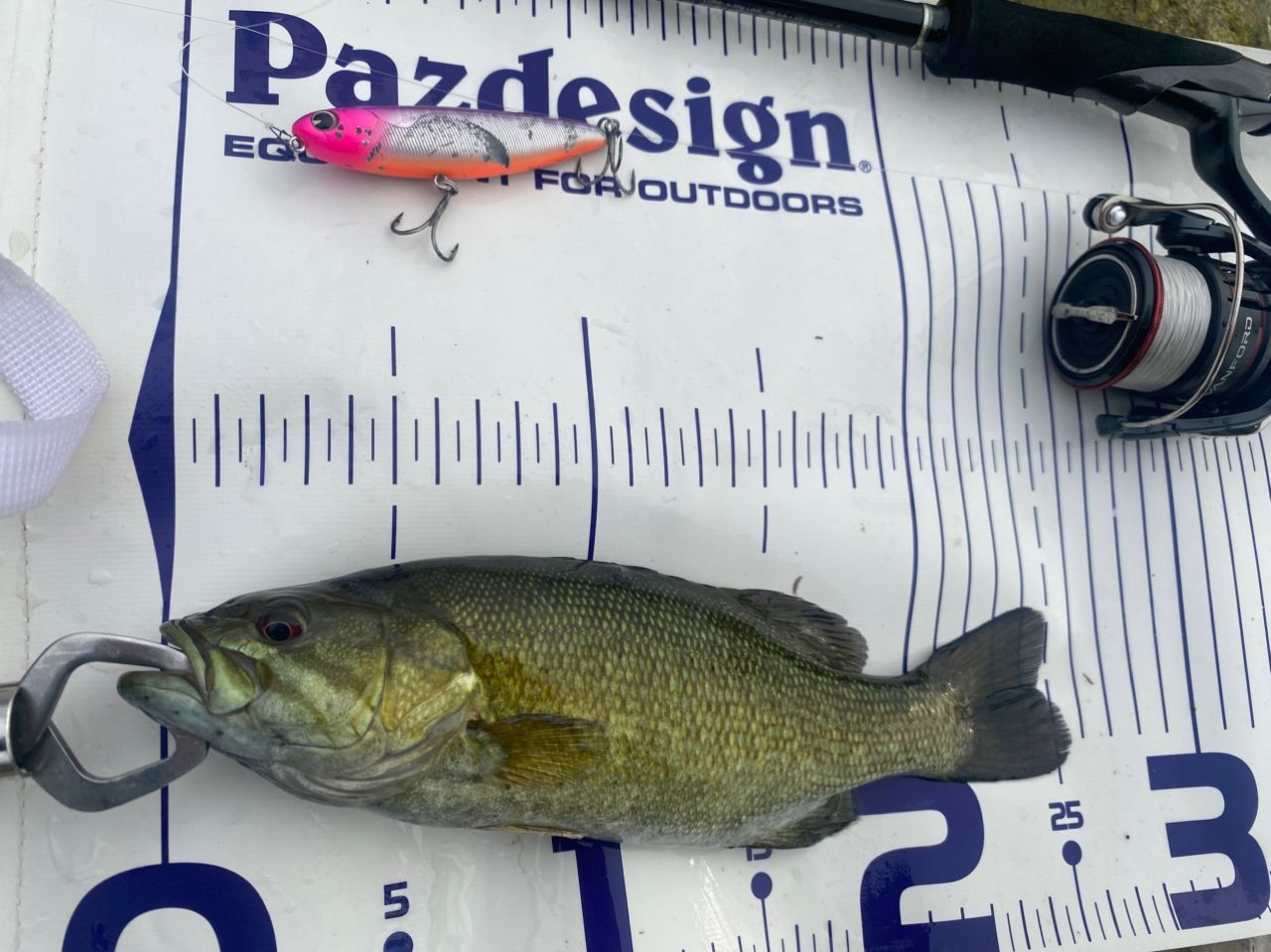 スモールマウスバス