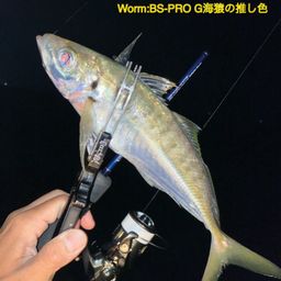 アジ