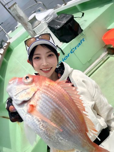 レンコダイの釣果