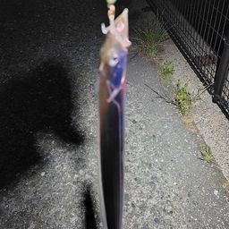 タチウオ