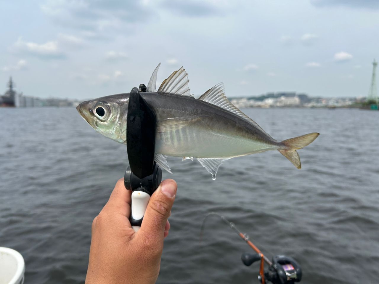 DAIWA 23リーディング LG 73 MH-185MTの最安値・インプレ・釣果 | 本音