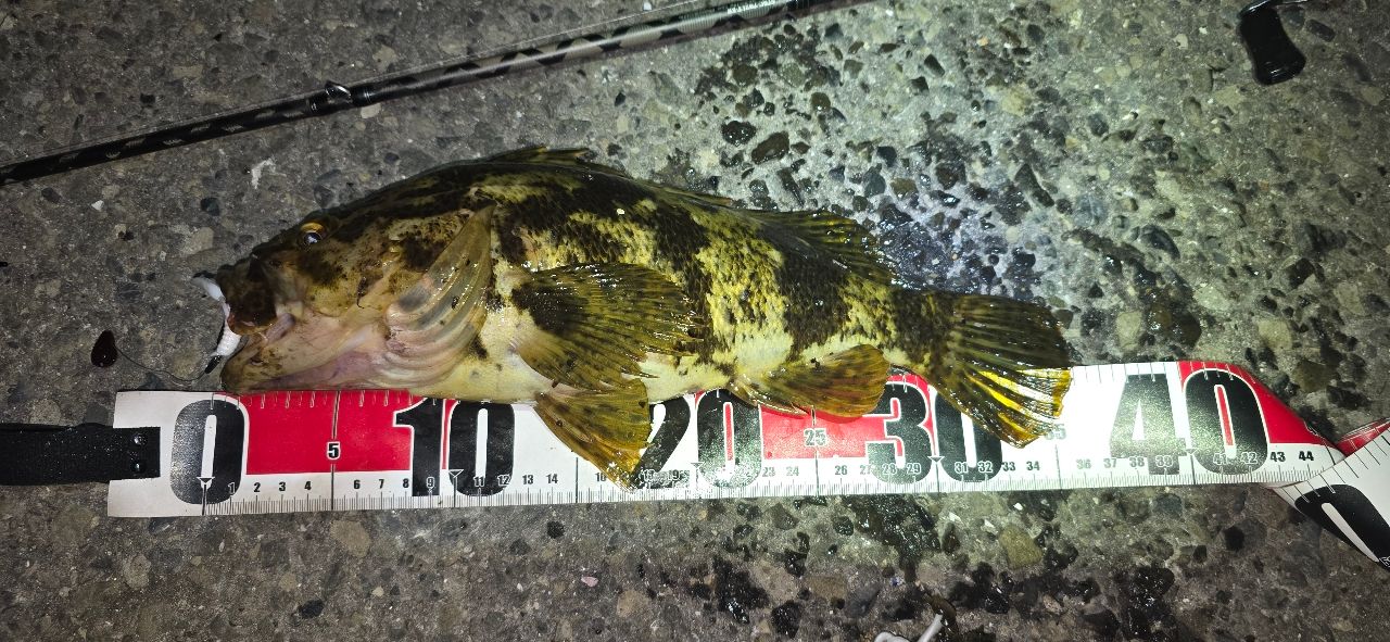 AbuGarcia ソルティースタイル ベイトフィネスカスタム STBC