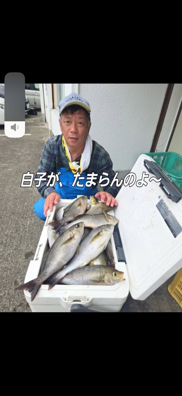 イサキ