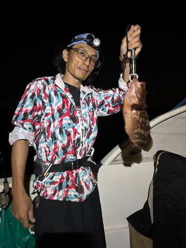 キジハタの釣果