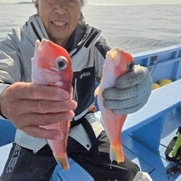 アマダイ