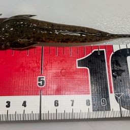 メゴチ