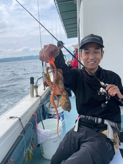 タコの釣果
