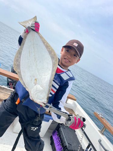 ヒラメの釣果