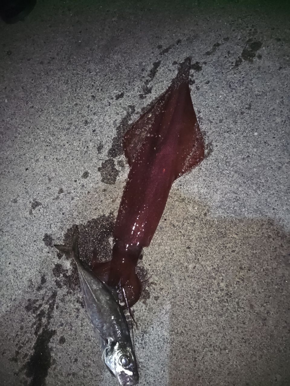 アジ