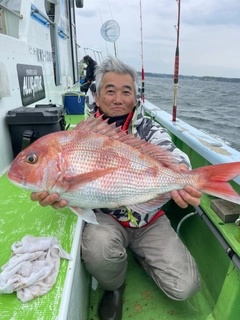 マダイの釣果