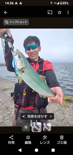 フクラギの釣果