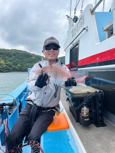 マダイの釣果
