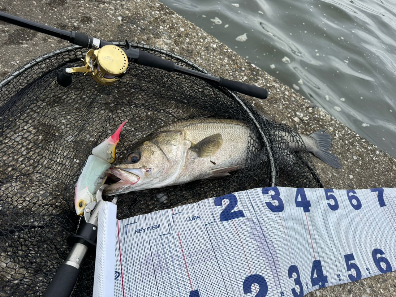 APIA グランデージ メガソウル MEGASOULC 62HH+の最安値・インプレ