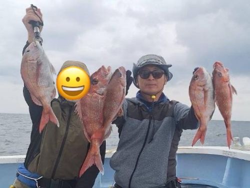 マダイの釣果
