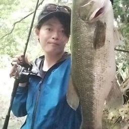 ブラックバス