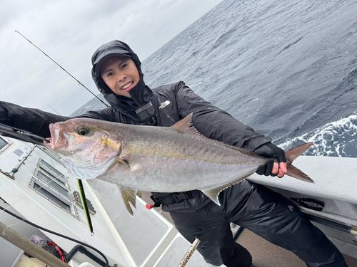 カンパチの釣果