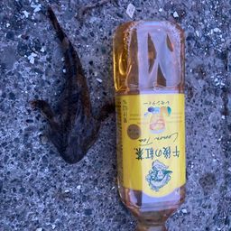 カジカ