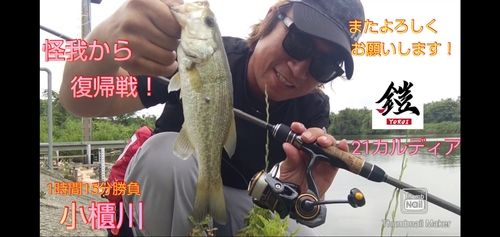 ブラックバスの釣果
