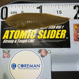 クロウシノシタ