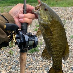 スモールマウスバス