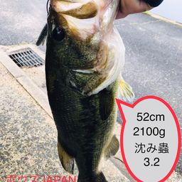 ブラックバス