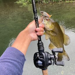 スモールマウスバス