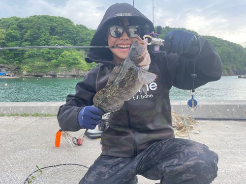 アイナメの釣果