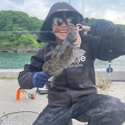 アイナメ