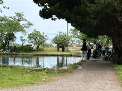 トラウトの釣果