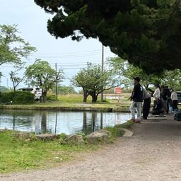 トラウト