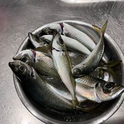 アジ