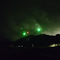 コイ