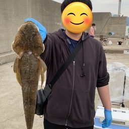 マゴチ