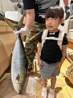 ブリの釣果